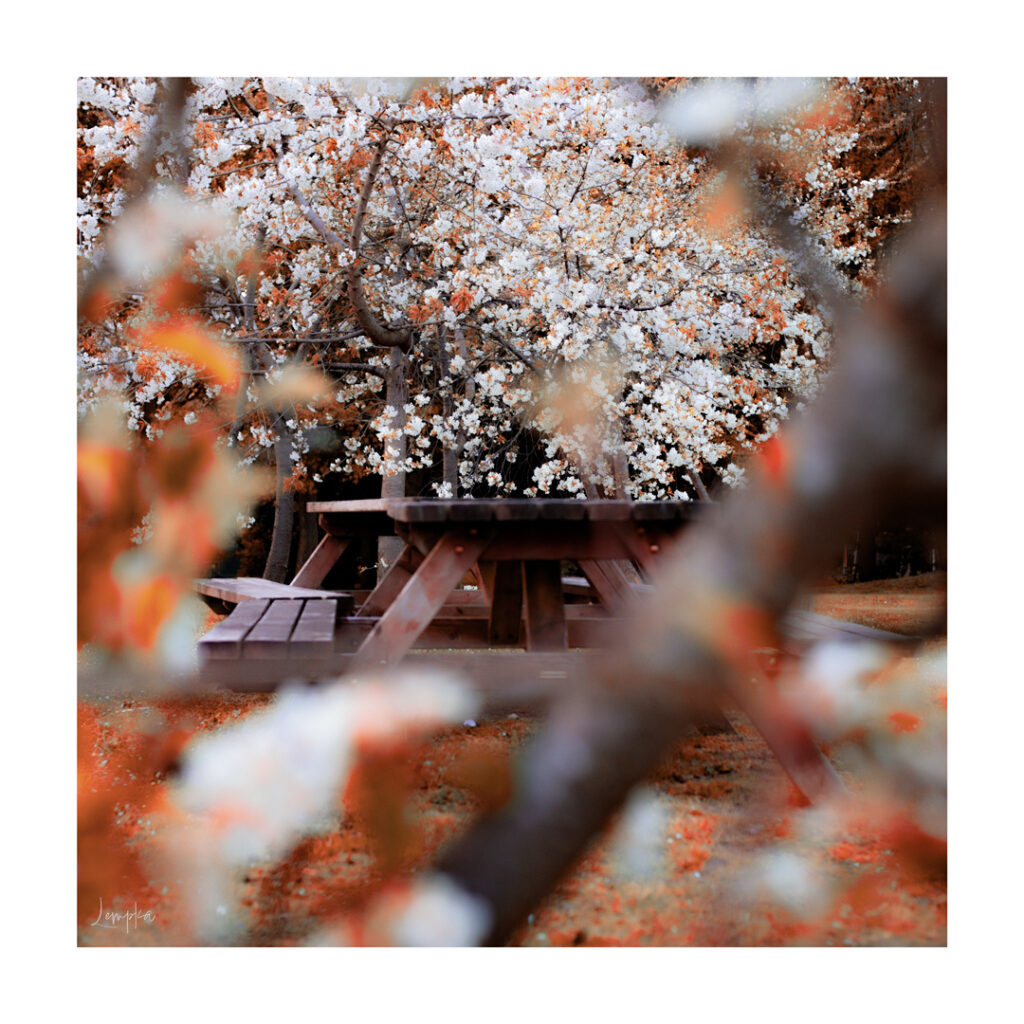 IMG_1141-Edit