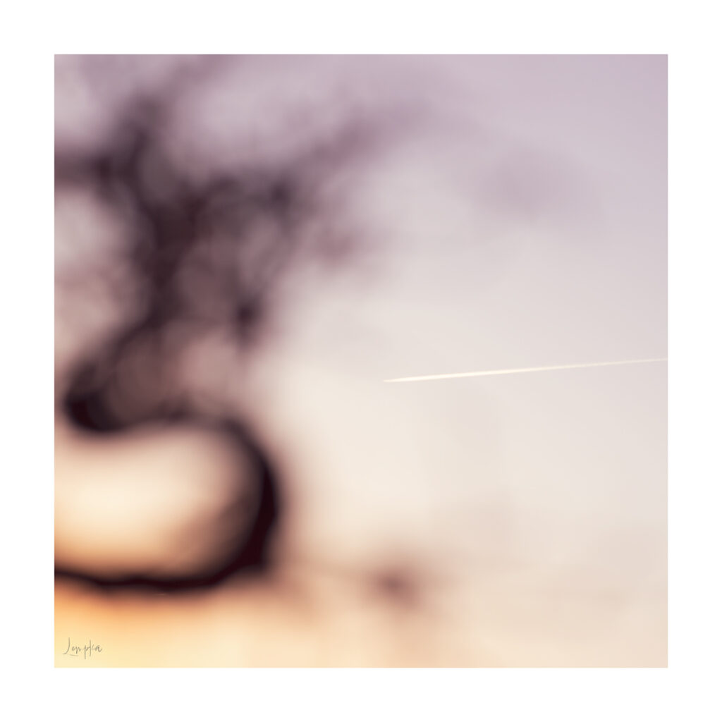 IMG_1380-Edit