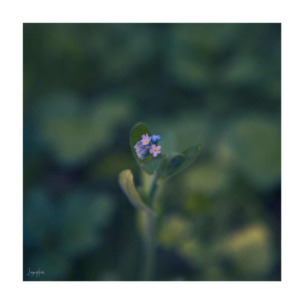 IMG_1543-Edit