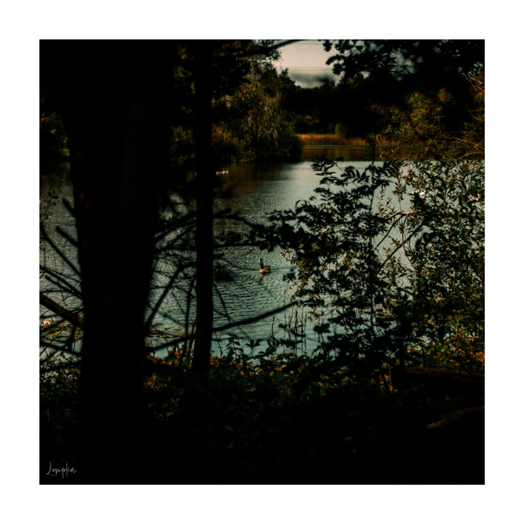 IMG_3451-Edit