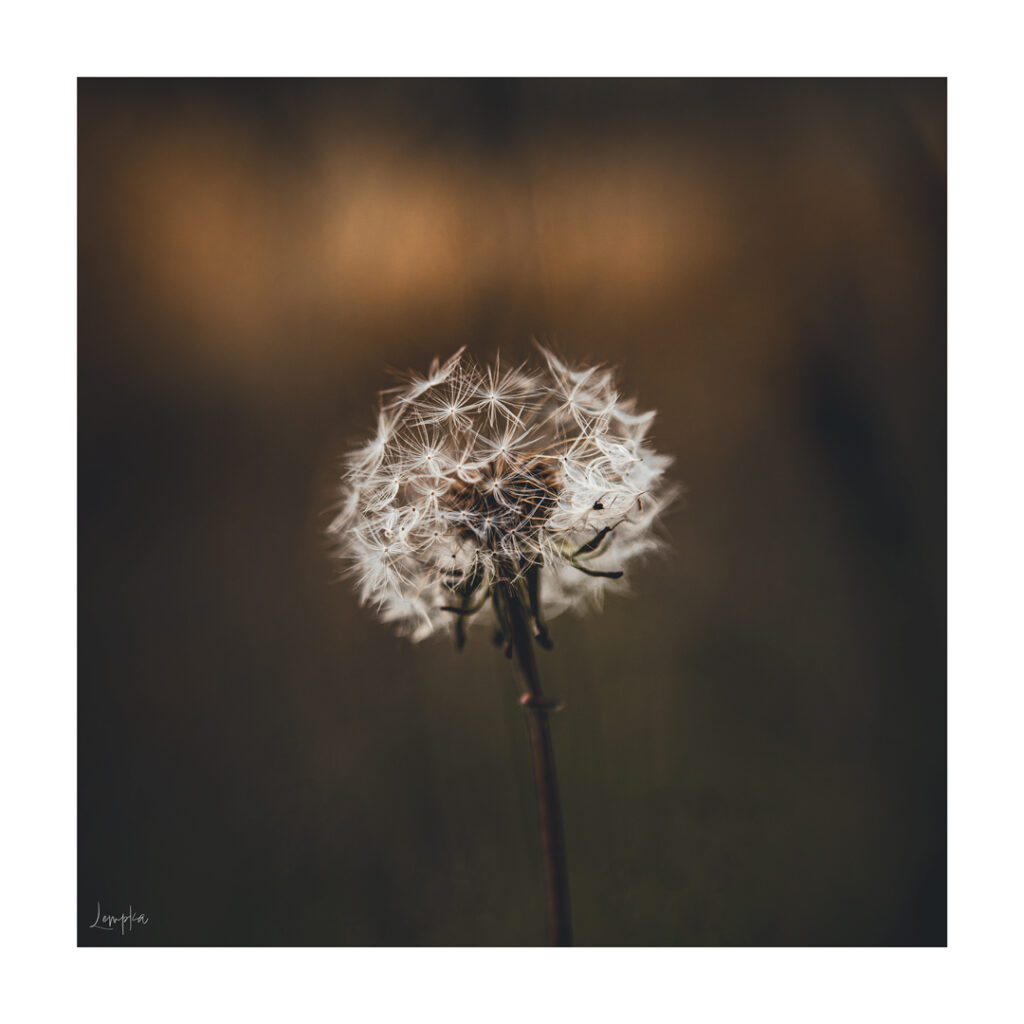 IMG_3542-Edit