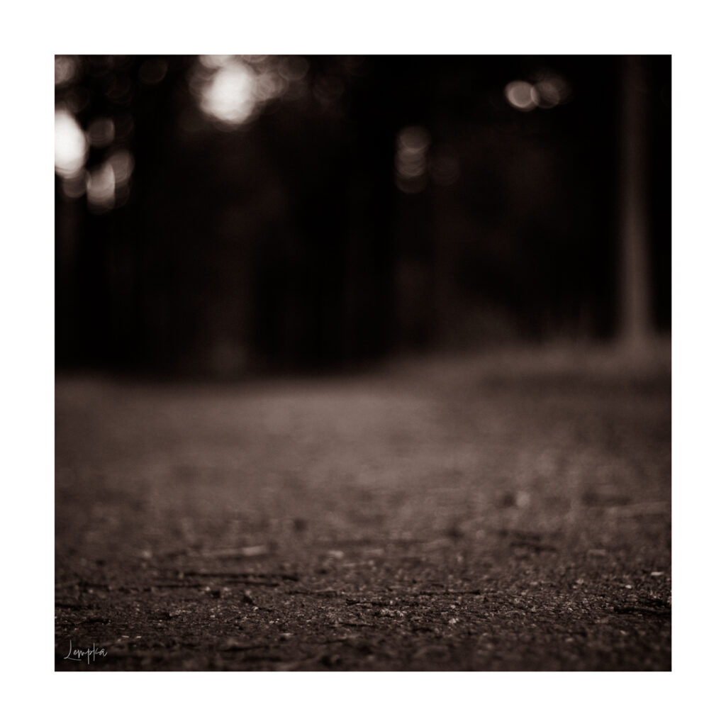 IMG_3885-Edit