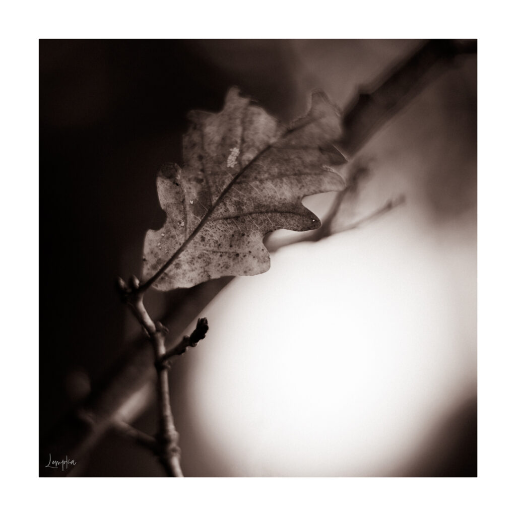IMG_3895-Edit