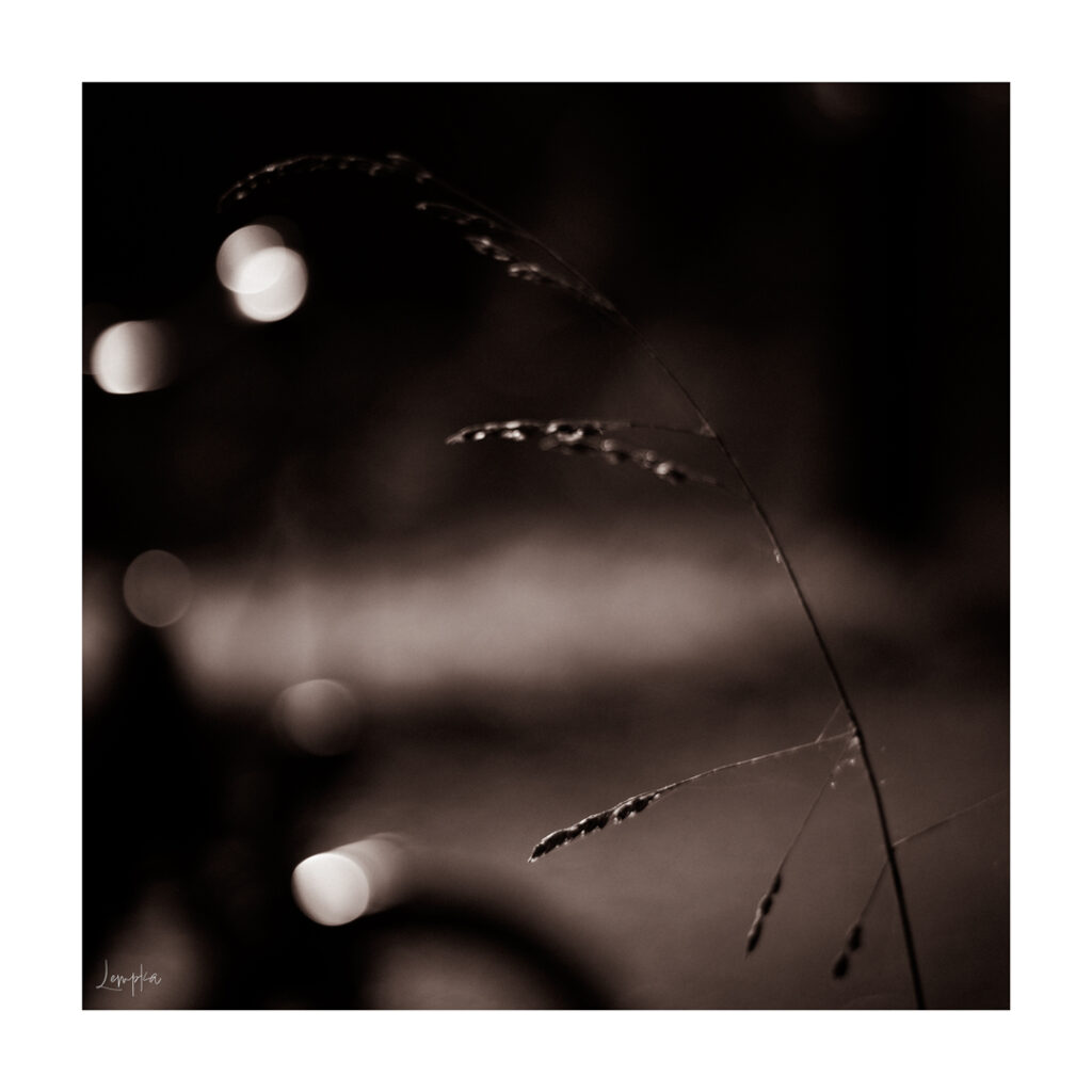 IMG_3961-Edit