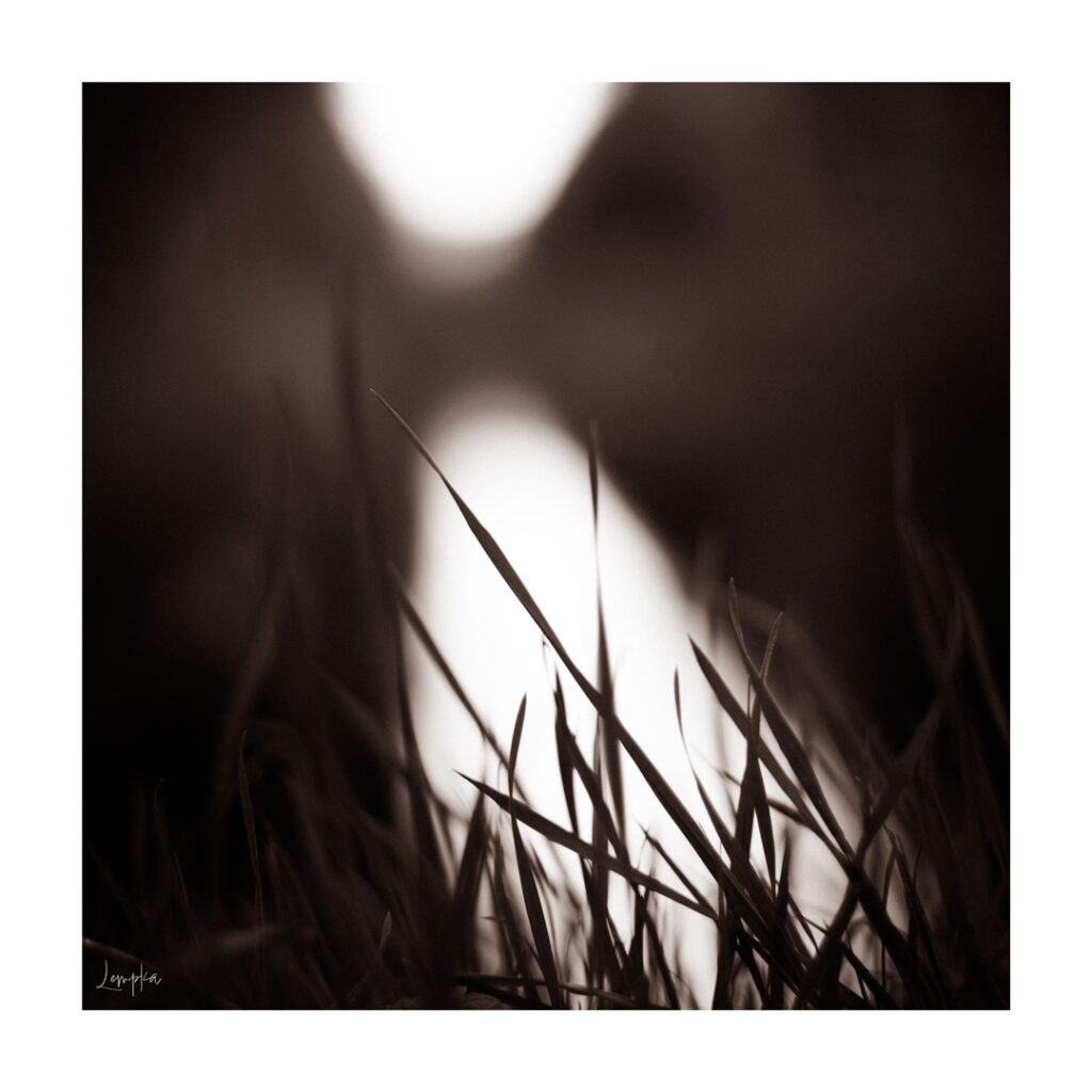 IMG_3976-Edit