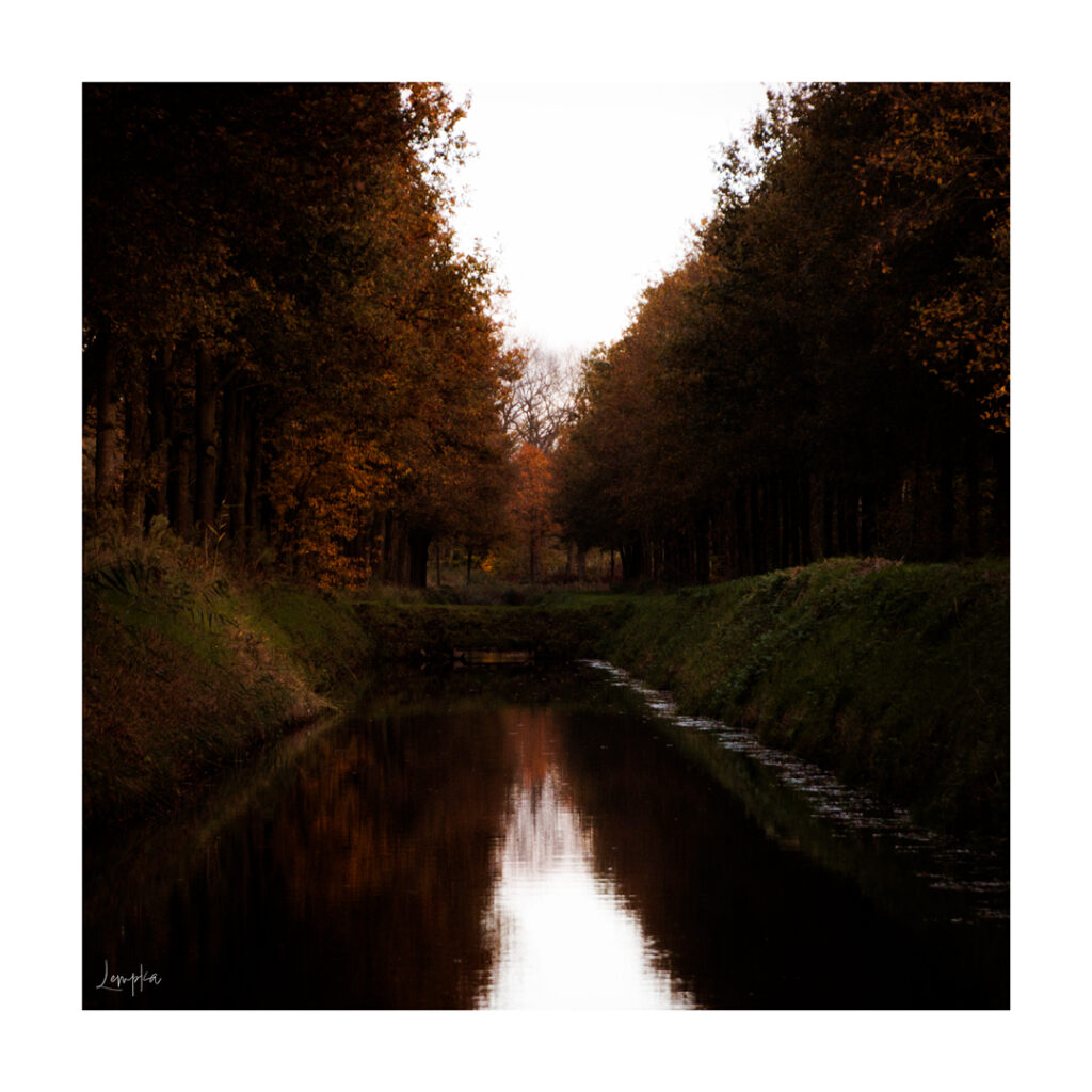 IMG_3984-Edit
