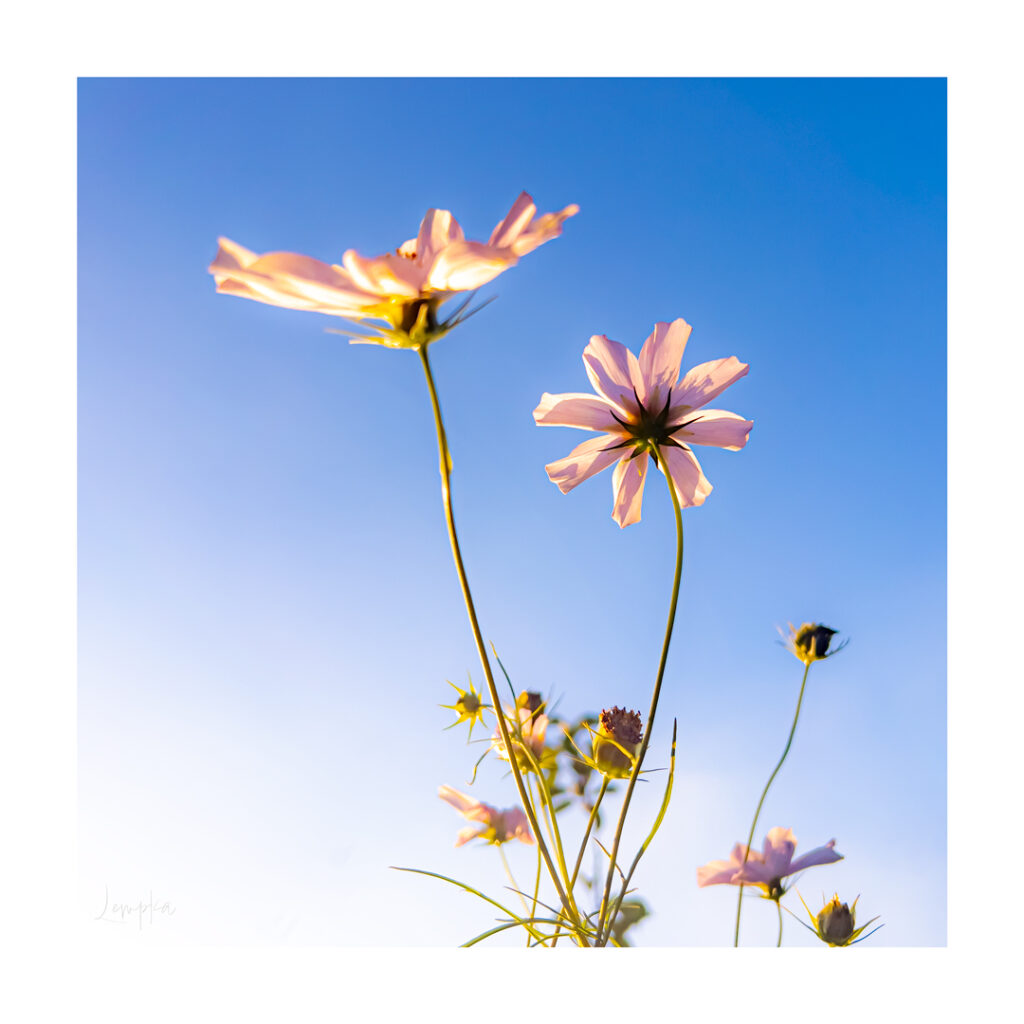 IMG_5160-Edit